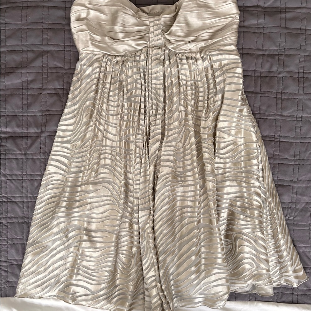 Express Strapless Dress
